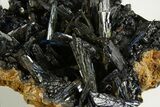 Glittering Dark-Green Vivianite Crystals - Ukraine #315584-1
